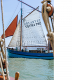 milpat-noemie-anthor-3298