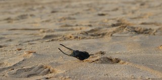 photo-14-2106