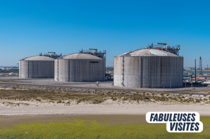 dk-lng-1-3426 dk-lng-1-3426